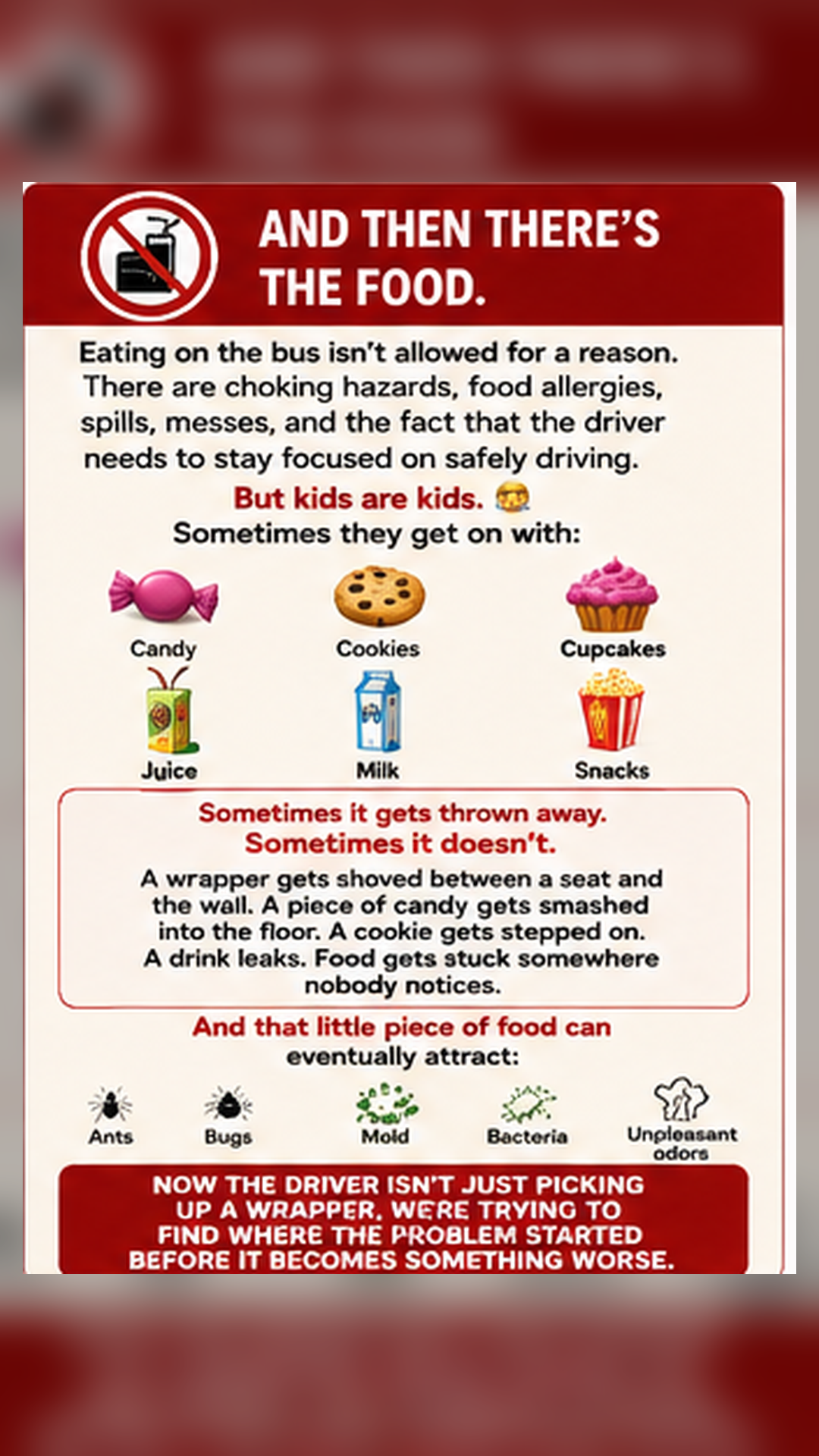 School Bus Safety β Panel 06